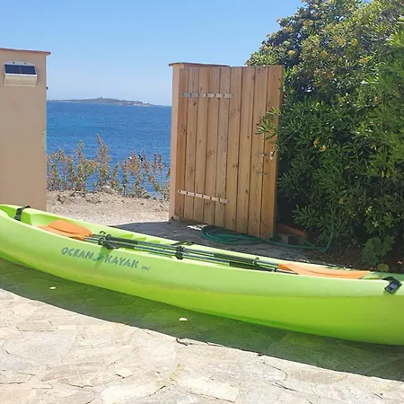 En Bord De Mer Face A L'ile De Porquerolles * Hyeres